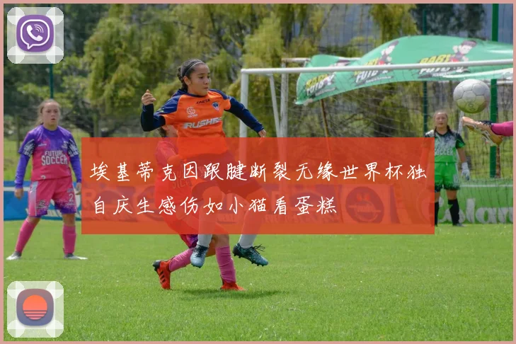 埃基蒂克因跟腱断裂无缘世界杯独自庆生感伤如小猫看蛋糕