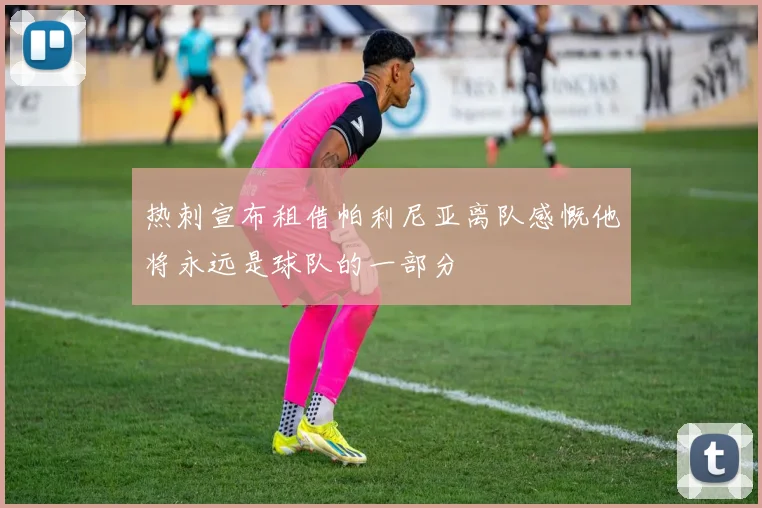 热刺宣布租借帕利尼亚离队感慨他将永远是球队的一部分